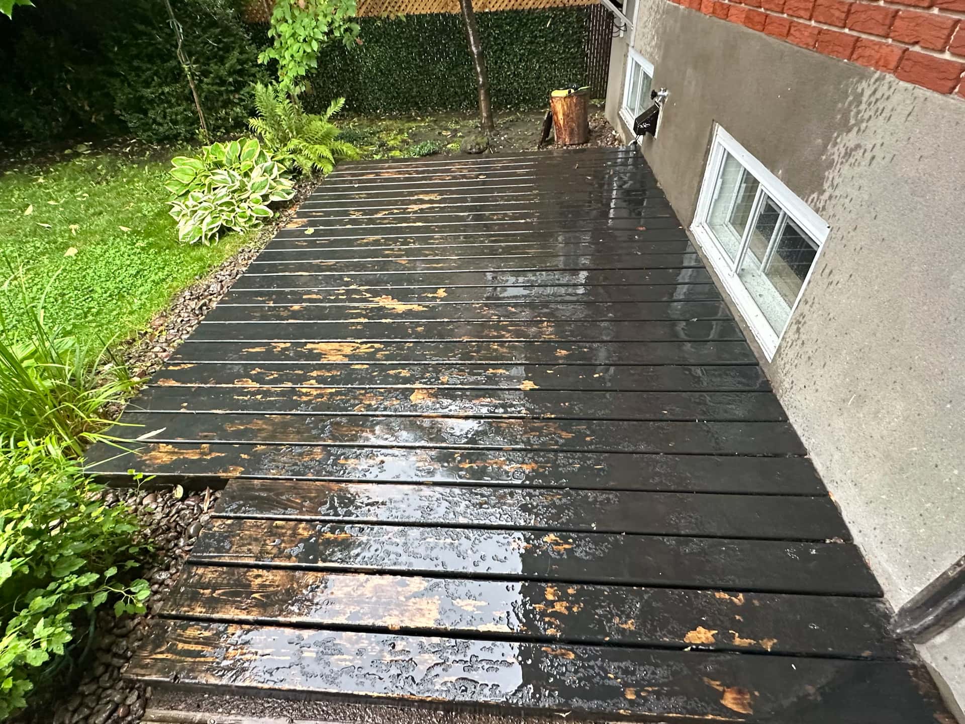 Cordovan Brown - Before