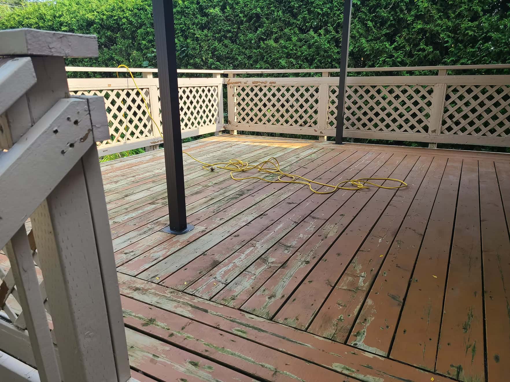 Sea Gull Gray - Before