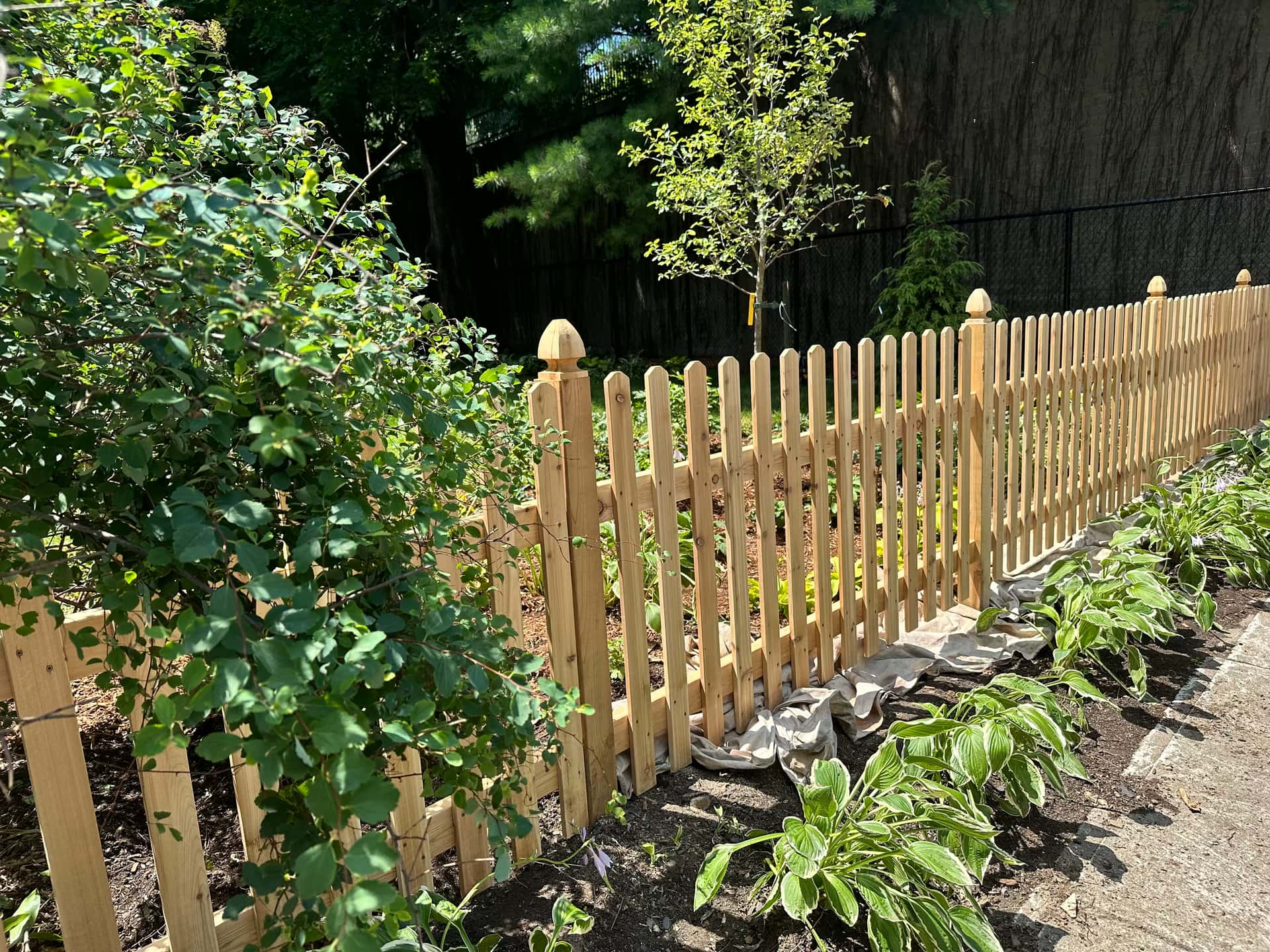 Tudor Brown - Before