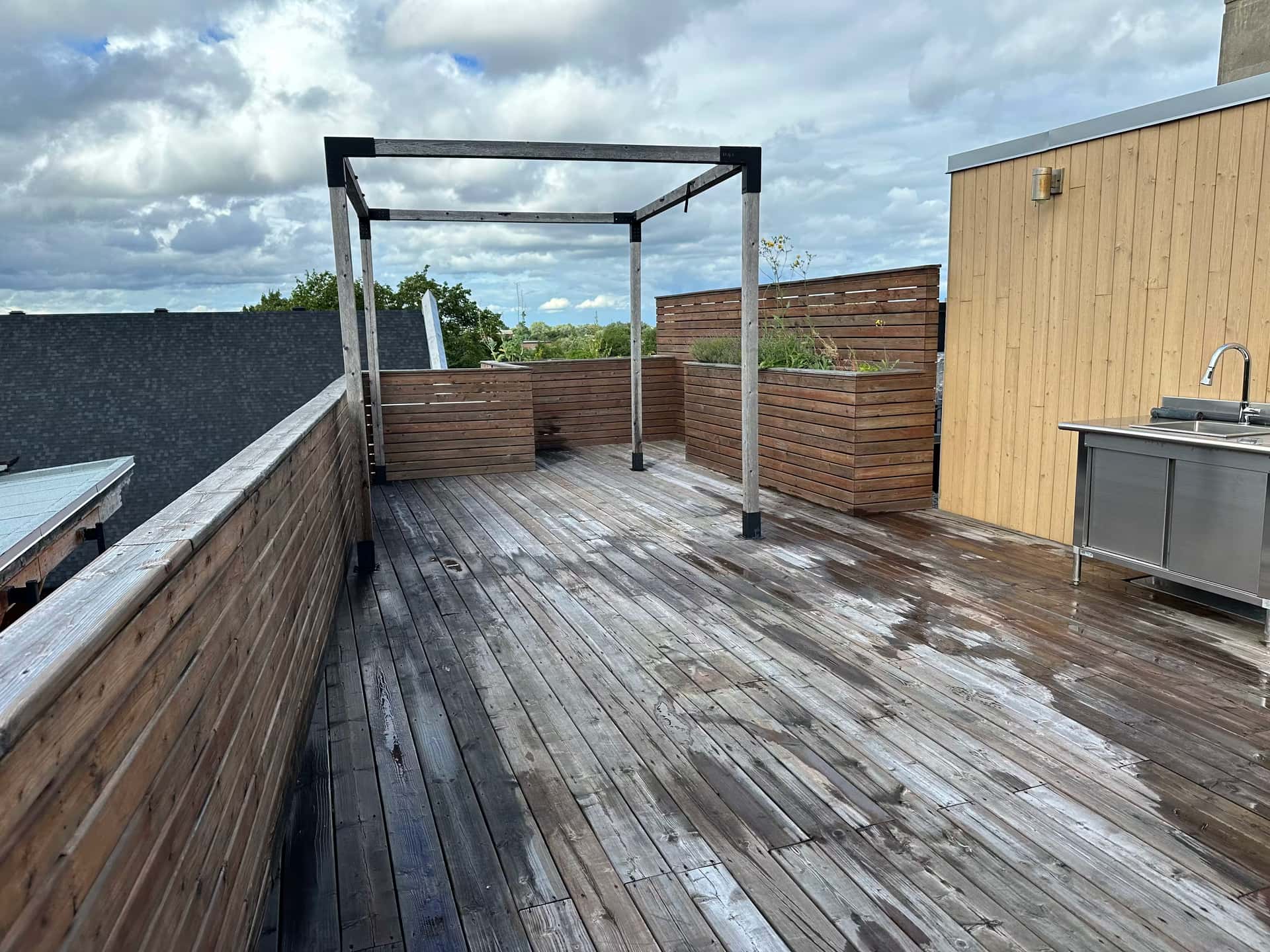 Golden Pine - Before