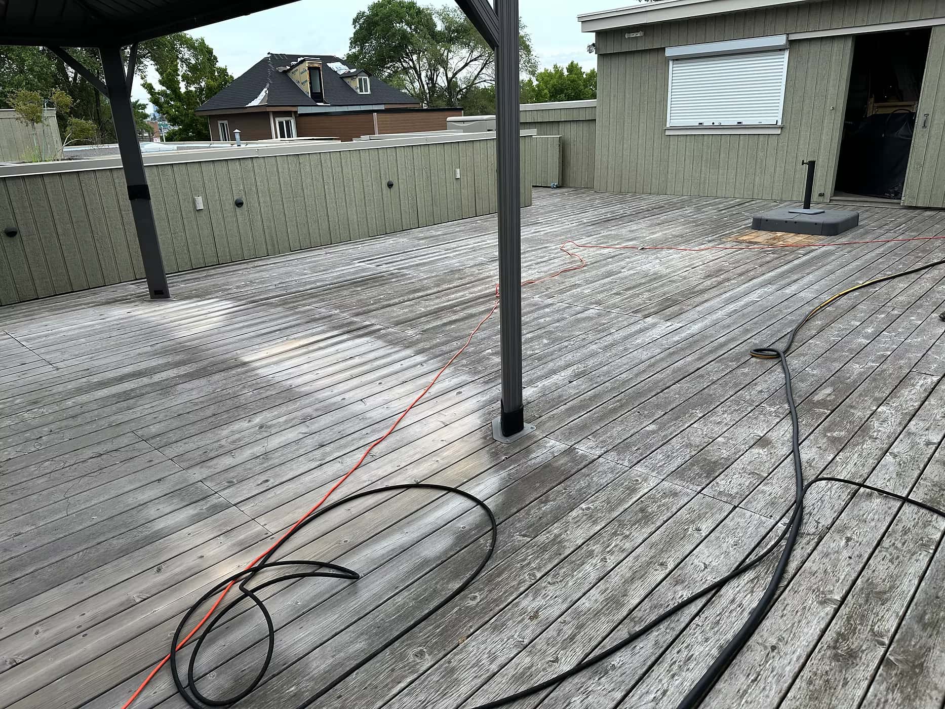 Golden Pine - Before