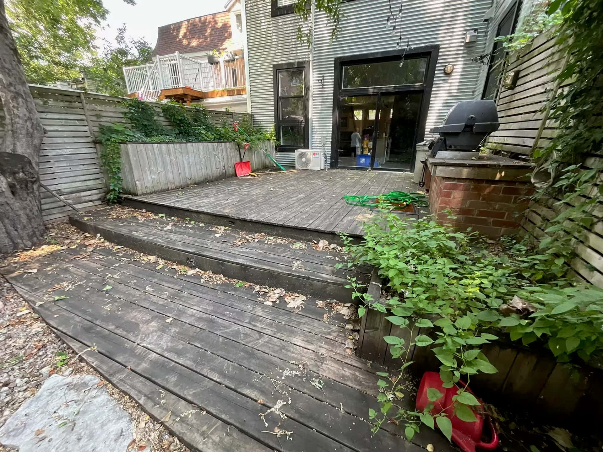 Golden Pine - Before