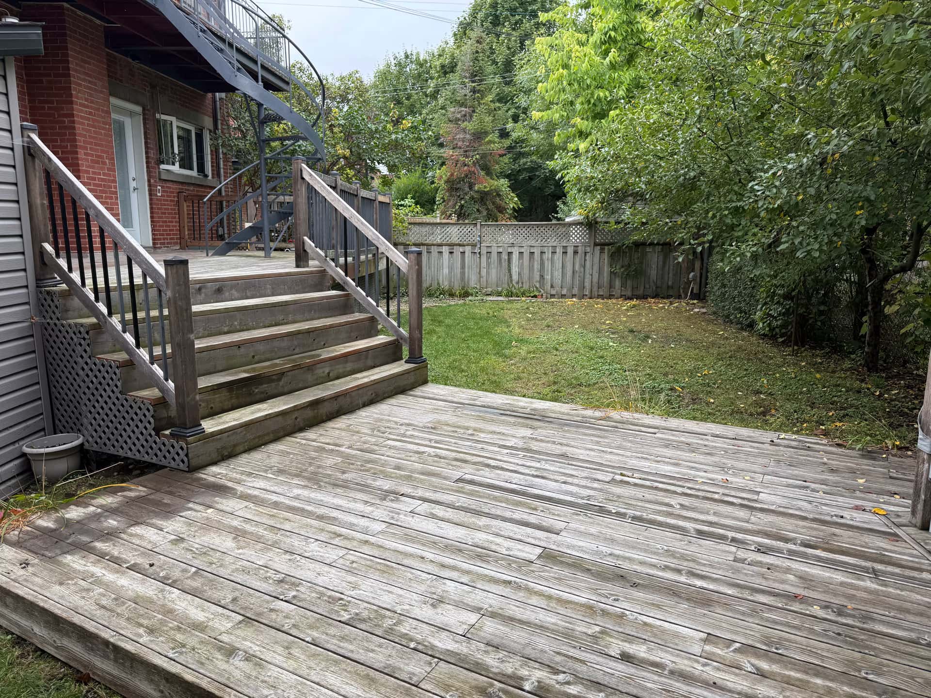 Maple Sugar - Before