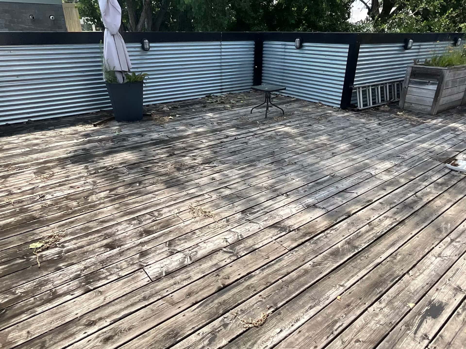 Kendall Charcoal - Before